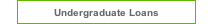 Undergraduate Loans