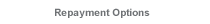 Student Loan Repayment Options