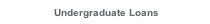 Undergraduate Loans